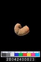 藏品(陶把)的圖片