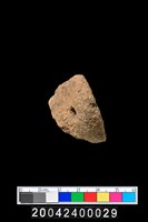 藏品(陶耳)的圖片