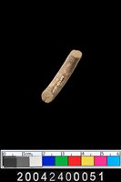 藏品(陶環)的圖片