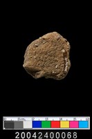 藏品(鈕把)的圖片