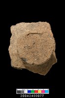 藏品(鈕把)的圖片