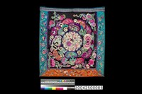 藏品(背兒帶蓋帕)的圖片