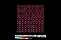 藏品(繡片)的圖片