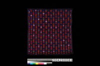 藏品(織片)的圖片