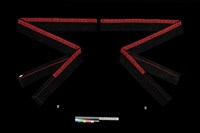 藏品(女子裹腳布)的圖片