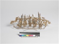 藏品(銀製頭飾)的圖片