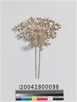 藏品(銀釵)的圖片