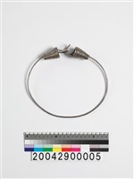 藏品(銀製項圈)的圖片