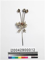 藏品(銀釵)的圖片