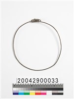 藏品(女子銀製項圈)的圖片