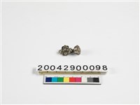 藏品(銀扣)的圖片