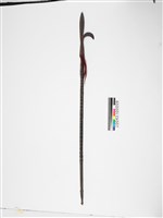 藏品(長矛)的圖片