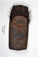 藏品(門上盾牌)的圖片