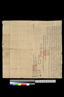 藏品(地契)的圖片