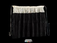 藏品(女子褶裙)的圖片