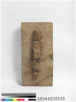 藏品(石雕像)的圖片