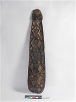 藏品(盾牌)的圖片