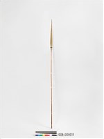 藏品(箭)的圖片