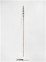 藏品(長矛)的圖片