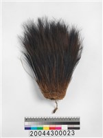 藏品(頭飾)的圖片