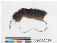 藏品(頭飾)的圖片