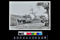 藏品(照片)的圖片