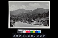 藏品(照片)的圖片