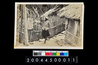 藏品(照片)的圖片