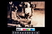 藏品(照片)的圖片