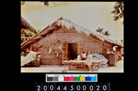 藏品(照片)的圖片