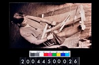 藏品(照片)的圖片