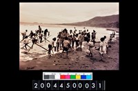 藏品(照片)的圖片