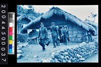 藏品(照片)的圖片