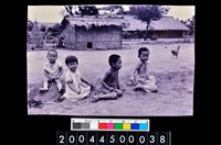 藏品(照片)的圖片