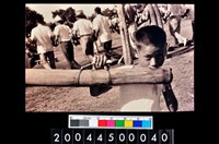 藏品(照片)的圖片