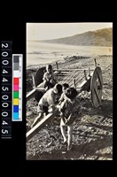 藏品(照片)的圖片