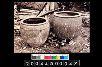 藏品(照片)的圖片