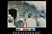 藏品(照片)的圖片