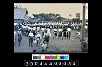 藏品(照片)的圖片