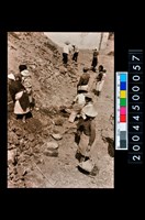 藏品(照片)的圖片