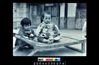 藏品(照片)的圖片