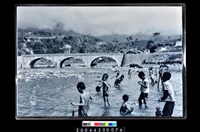 藏品(照片)的圖片