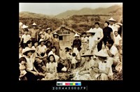 藏品(照片)的圖片