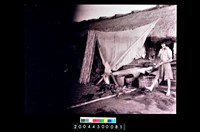 藏品(照片)的圖片