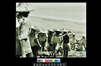 藏品(照片)的圖片