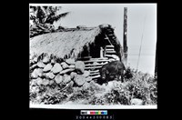 藏品(照片)的圖片