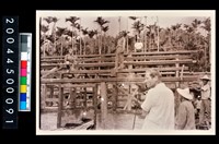 藏品(照片)的圖片