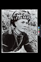 藏品(照片)的圖片