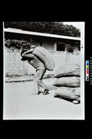 藏品(照片)的圖片