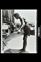 藏品(照片)的圖片